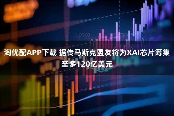 淘优配APP下载 据传马斯克盟友将为XAI芯片筹集至多120亿美元